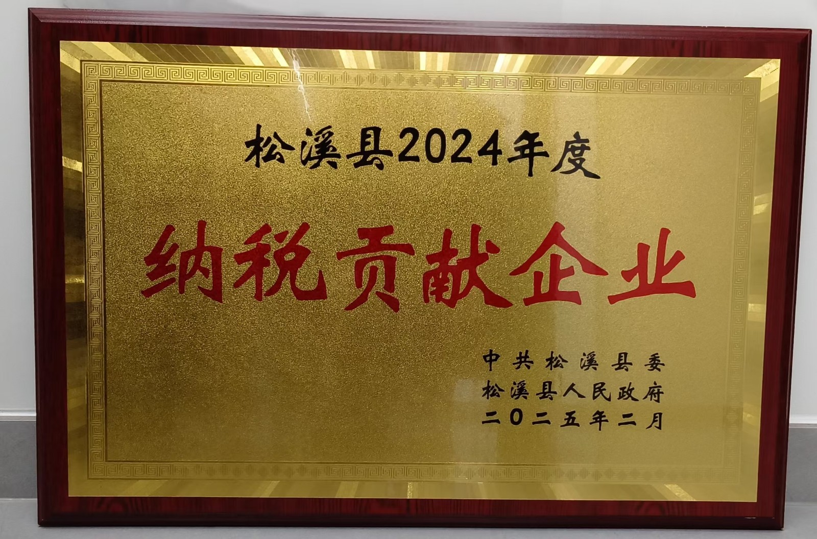 喜報！易順建工集團(tuán)榮獲“松溪縣2024年度納稅貢獻(xiàn)企業(yè)”稱號